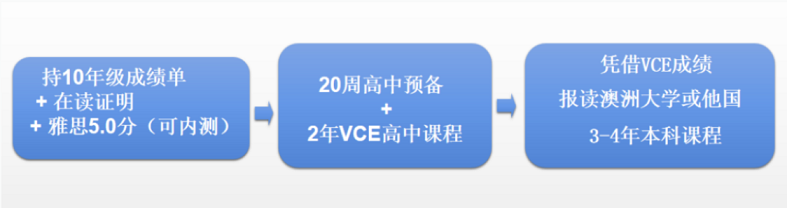VCE升学路径