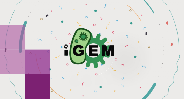 【国际竞赛-生物类】国际遗传工程机器大赛iGEM (International Genetically Engineered Machine competition)