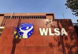 WLSA上海学校末轮春招即将开启，快看备考重点难点！